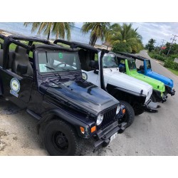 TOUR COZUMEL JEEP