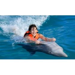 DOLPHIN XTREME