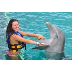 DOLPHIN ENCOUNTER