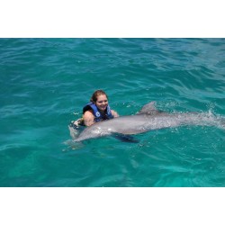 DOLPHIN SWIM ADVENTURE