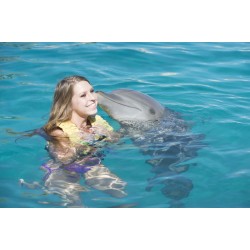 DOLPHIN SWIM ADVENTURE +...