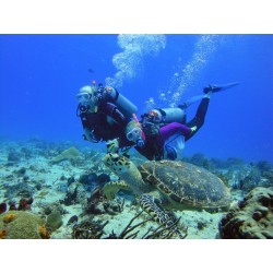 COZUMEL BUCEO CON LECCIONES