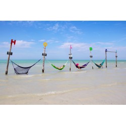 HOLBOX PLUS + CENOTE